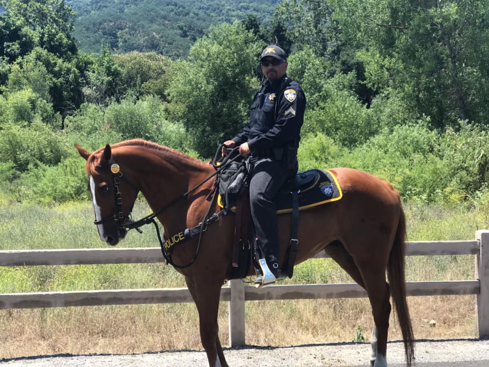 Police Horse Q with Raul